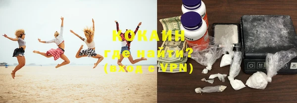 крисы Баксан