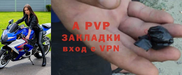 крисы Баксан