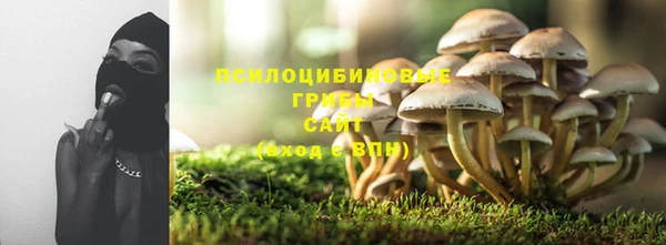 крисы Баксан